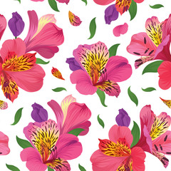 
Flower seamless pattern with beautiful pink alstroemeria lily flowers on white background template. Vector set of blooming floral for wedding invitations and greeting card design. 