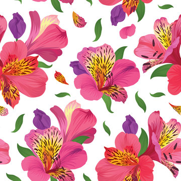 
Flower seamless pattern with beautiful pink alstroemeria lily flowers on white background template. Vector set of blooming floral for wedding invitations and greeting card design. 