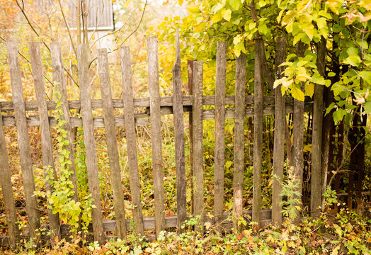 old wooden fence in the village in autumn