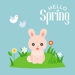 hello spring typography with illustration of cute rabbit character on meadow and flying birds , flat design vector