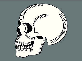 Tête de mort vue de profil © Philippe