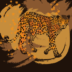 Hand drawn sketch style leopard. Isolated vector illustration.