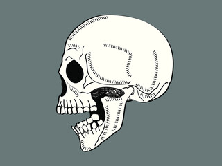 Tête de mort vue de profil