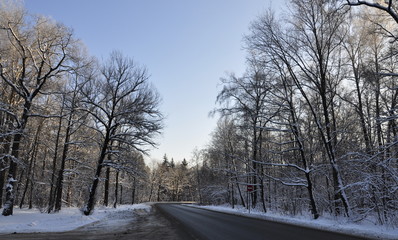 Winter landscape