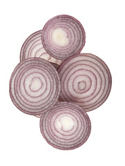 onion rings isolated on white background