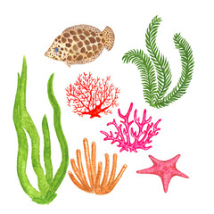 Watercolor set or coral, seaweed, starfish isolated on white