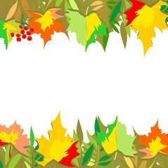 A horizontal vector pattern of autumn leaves. Maple, grapes, ash and mountain ash. Isolated on the background of a white color.