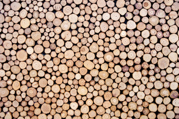 Abstract wood circle patterns.Concept background.