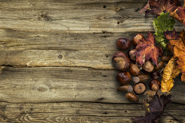 Autumn background from fallen leaves, chestnuts and acorns on old wooden table.