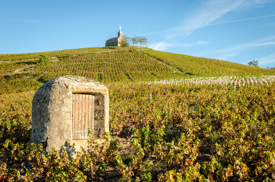 Old well and chapel in french vineyard