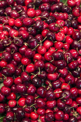fresh organic red cherries on display