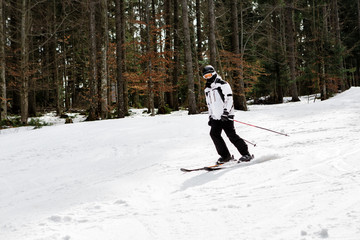 skier is skiing down the slope in the woods