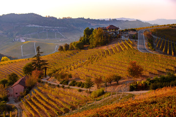 Langhe in autunno