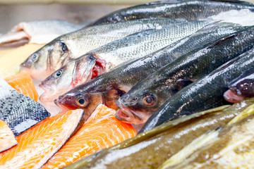 Fresh mackerel and salmon on ice for sale at Billingsgate Fish Market in Poplar in London