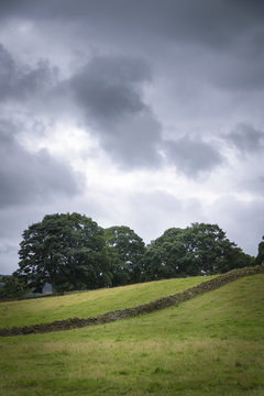 Characteristically English limestone walls in the green fields the Dales
