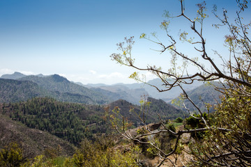 Wunderschöne Berge auf Gran Canaria