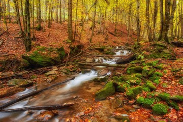 Fototapeta na wymiar rapid mountain river in autumn.