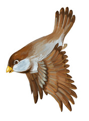 Cartoon animal - sparrow flying - illustration for children