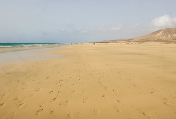 Footprints in wet gold sand on magnificent boundless Sotavento beach, Fuerteventura, Canary Islands, Spain