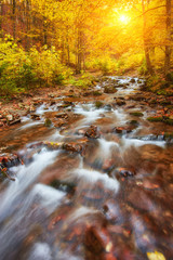 Autumn creek woods with yellow trees foliage and rocks in forest