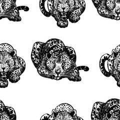 Seamless pattern of sketch style leopards. Vector illustration.