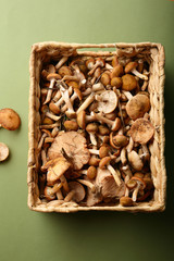 Wild mushrooms in wicker basket