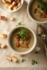 Autumn mushrooms soup