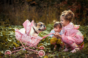little blonde girl and a dog  in park in autumn 