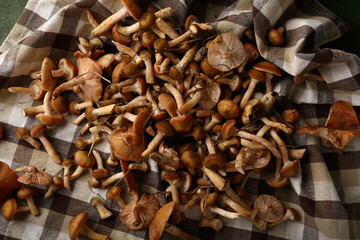 Raw mushrooms
