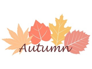 Autumn fall writing