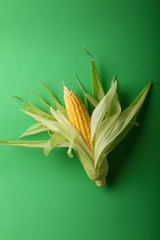 Baby corn cob above o green background