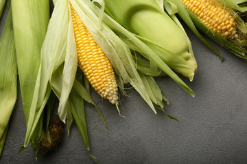Green corn background