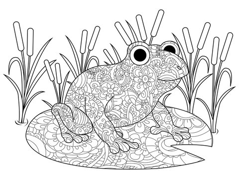 Frog on a lily in the swamp coloring book for adults raster