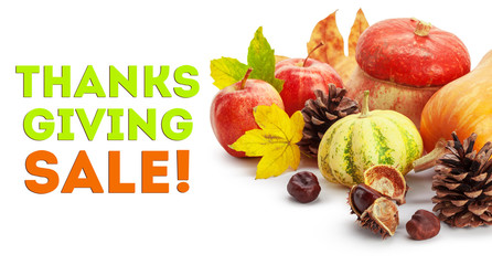 Happy Thanksgiving Sale tag with autumn pumpkins