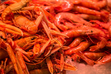 Fresh seafoods at the market in Barcelona