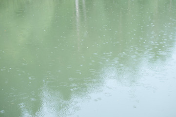 raindrops on surface of pond