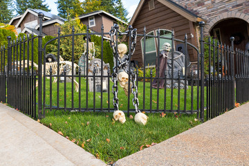 House Frontyard Halloween Decoration on Grass Lawn