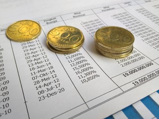 Illustration for Financial Report from Investment income (Rupiah Golden Coin out from Egg Chicken Shell)