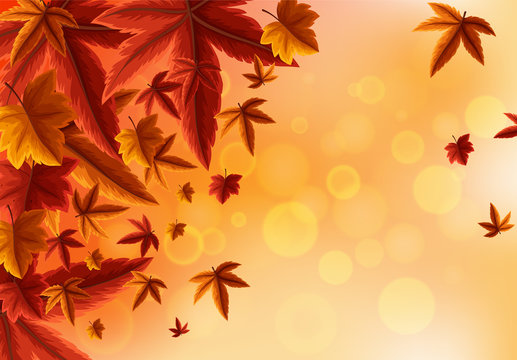 Background design with orange leaves