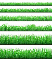 Green grass borders set isolated on white background vector illustration - 176507321
