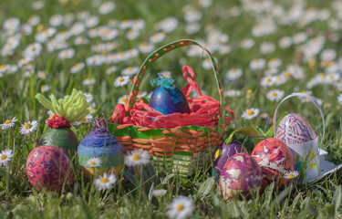 Happy easter handmade colorful eggs basket grass chamomile daisies meadow straw outside