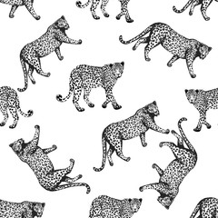 Obraz premium Seamless pattern of sketch style leopards. Vector illustration isolated on white background.