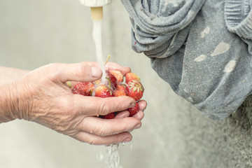 Washing group of strawberries