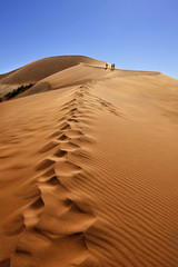 Namib desert