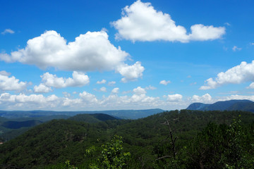 Fototapeta na wymiar forest on mountain and clear sky view