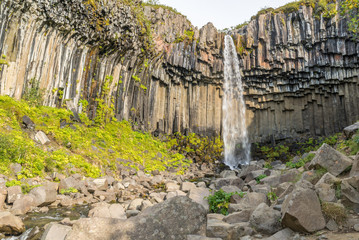 Cascada Svartifoss cuyas paredes están formadas por columnas basálticas. Islandia