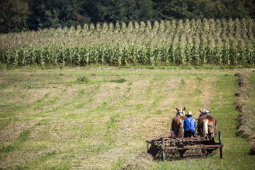 USA - Ohio - Amish