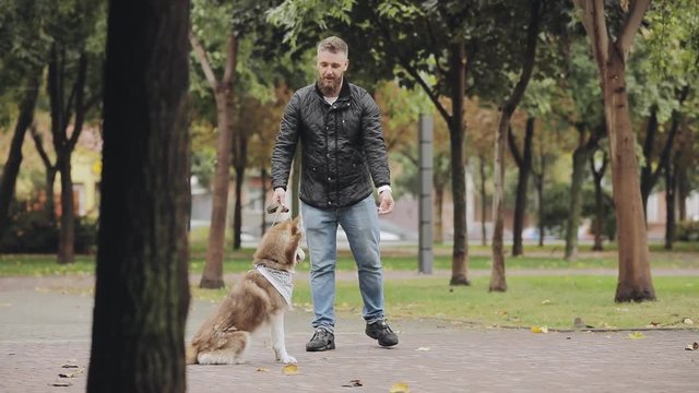 Man playing with his dog husky, teases her in park at the autumn day, slow motion