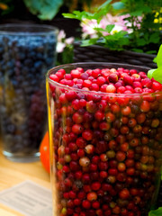 fresh and delicious cranberries - fruits and vegetables