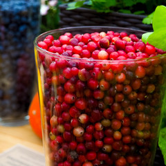 fresh and delicious cranberries - fruits and vegetables